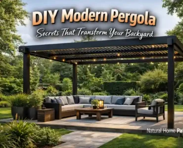 DIY Modern Pergola Secrets That Transform Your Backyard